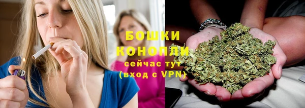 гидропоника Алзамай